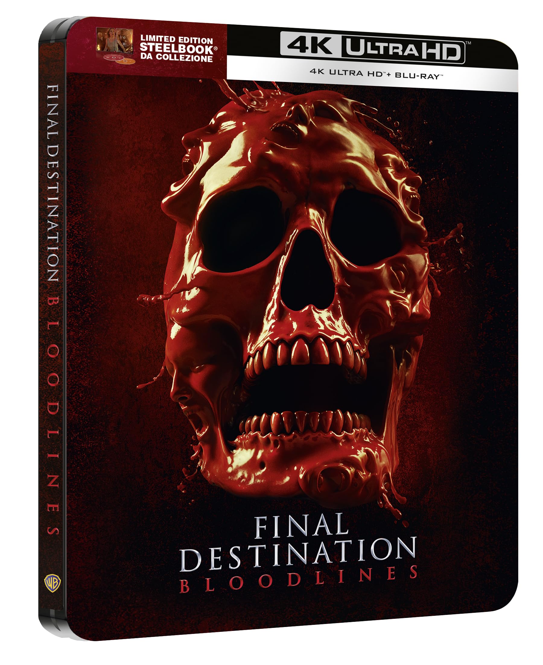 FINAL DESTINATION BLOODLINES Steelbook 3 'Alt Skull' (4K Ultra HD + Blu-ray) (4K Ultra HD)