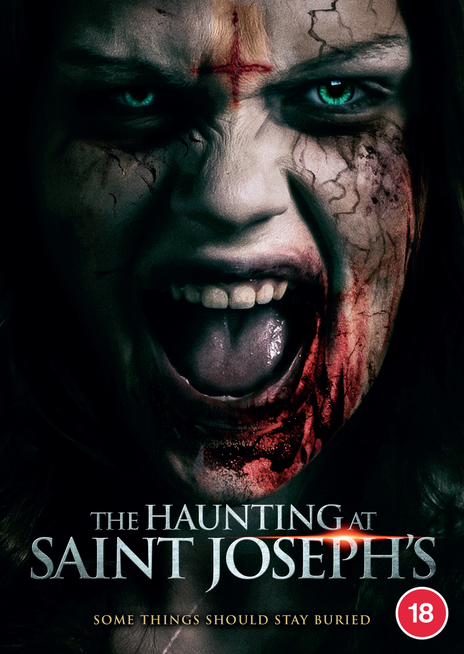 The Haunting at St. Joseph's (DVD) Tim Spriggs Tal Hymans Katelyn Bassett-Wilton