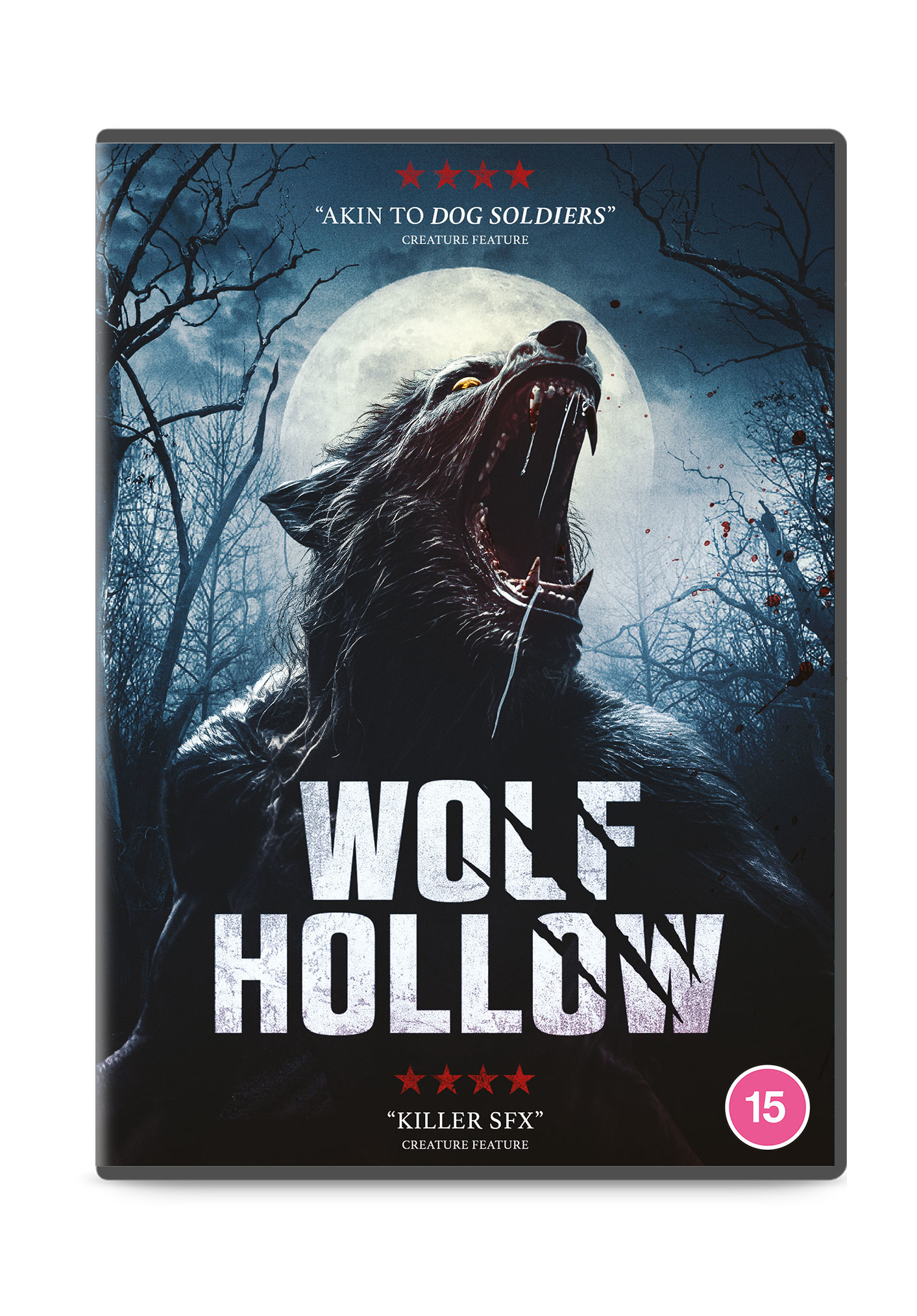 Wolf Hollow (DVD)
