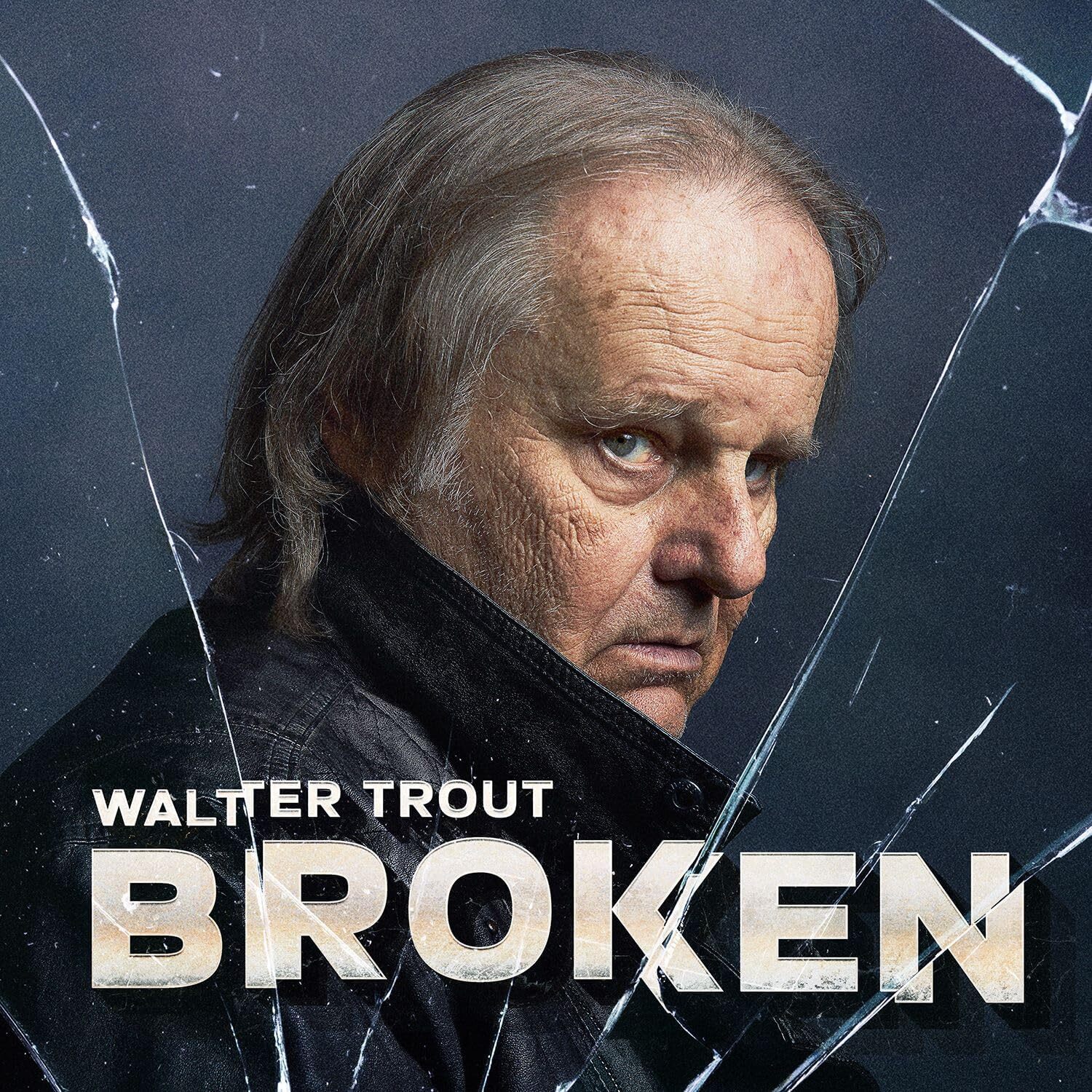 Walter Trout Broken (CD) Album (US IMPORT) - Picture 1 of 1