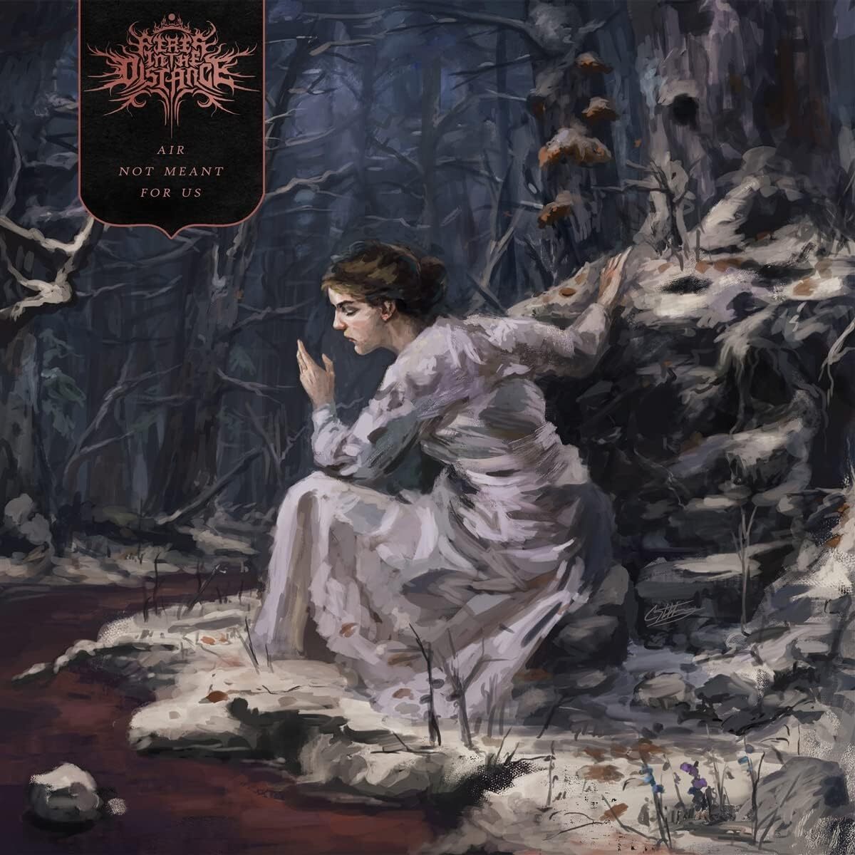 Fires in The Distance Air Not Meant for Us (Vinyl LP)