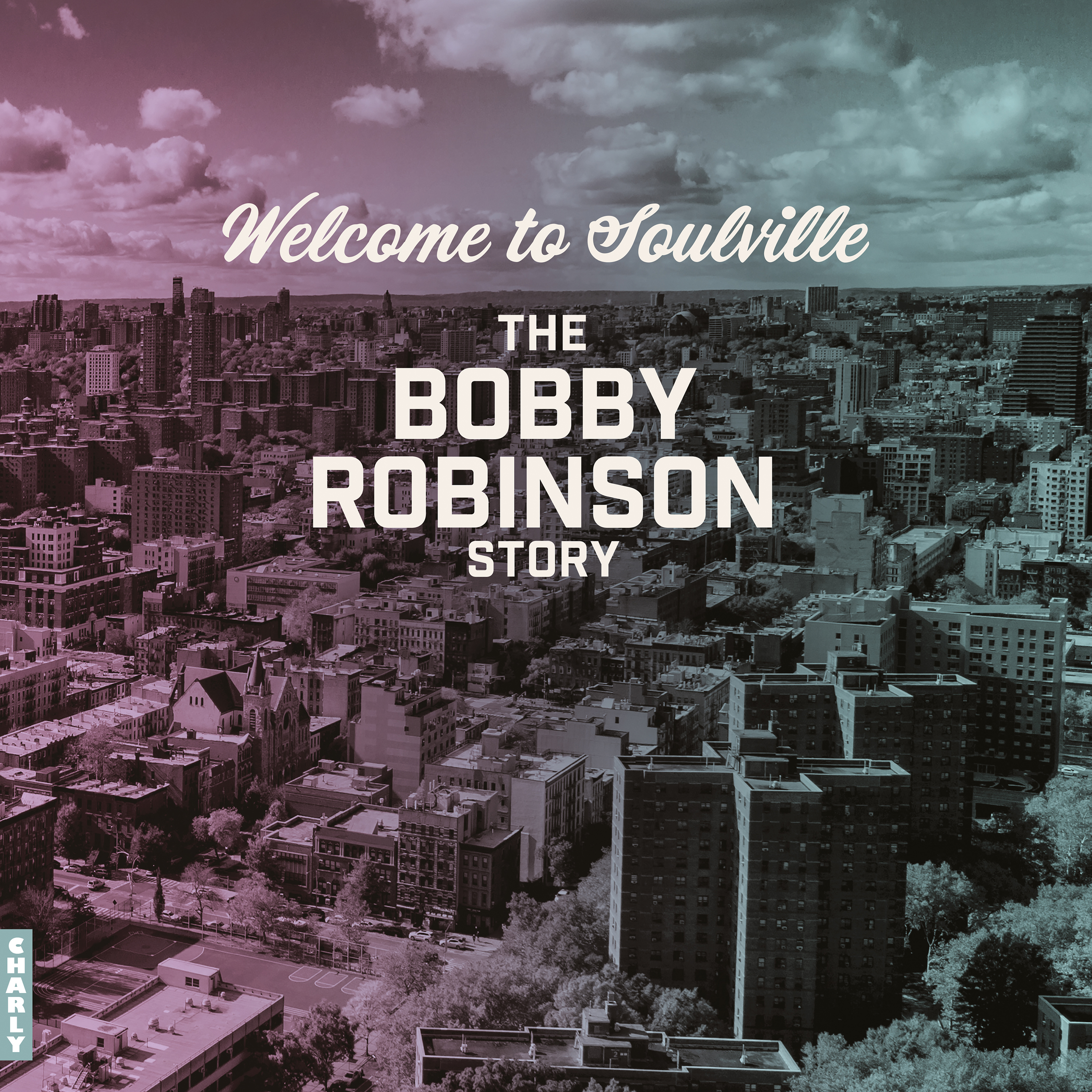 Добро пожаловать в Soulville от разных исполнителей (The Bobby Robinson Sto (винил) (ИМПОРТ из Великобритании)