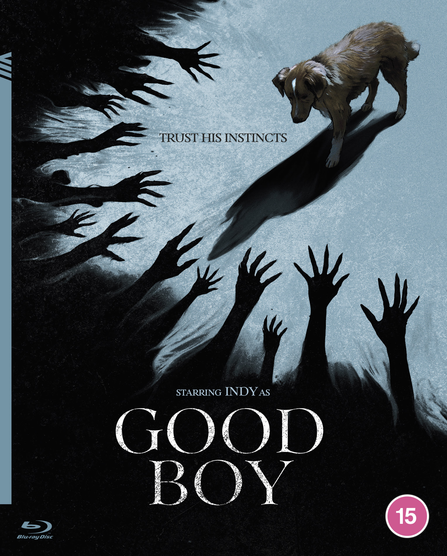Good Boy (Blu-ray)