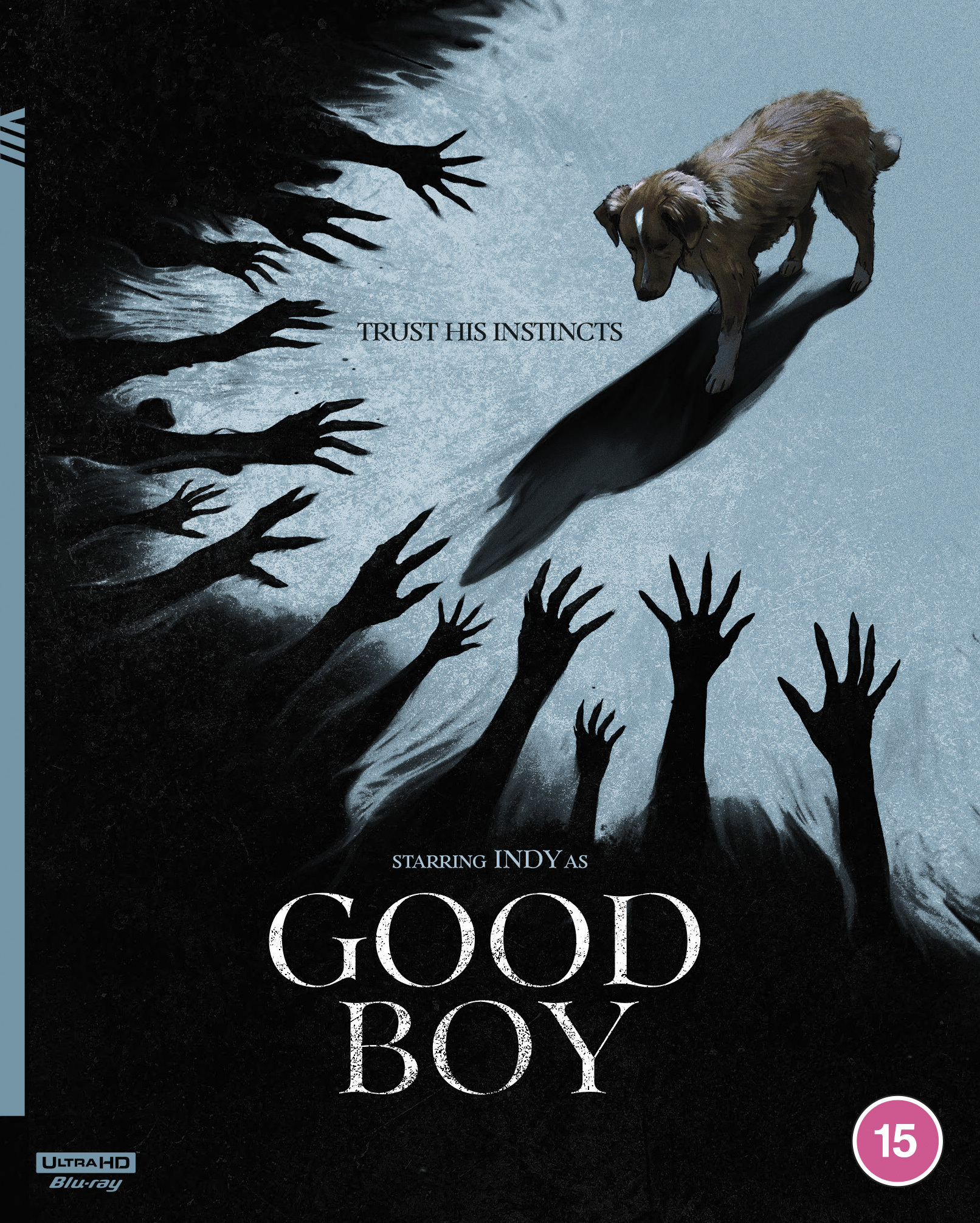 Good Boy (4K Ultra HD)