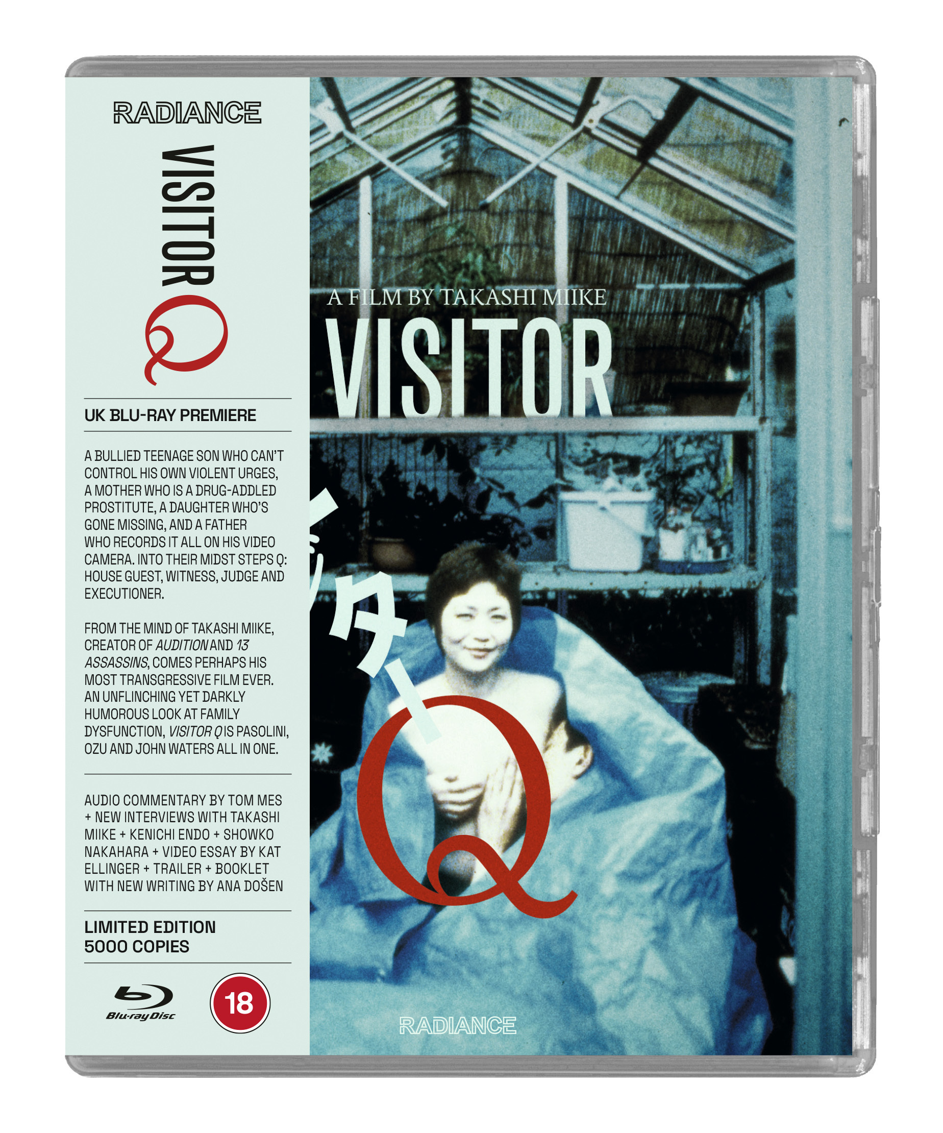 Visitor Q (Blu-ray)