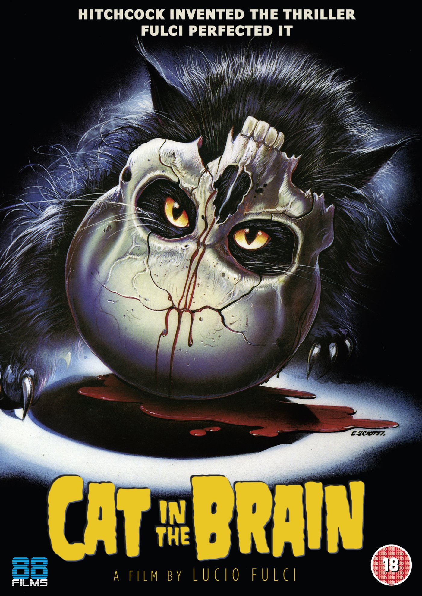 Cat in the Brain (DVD)