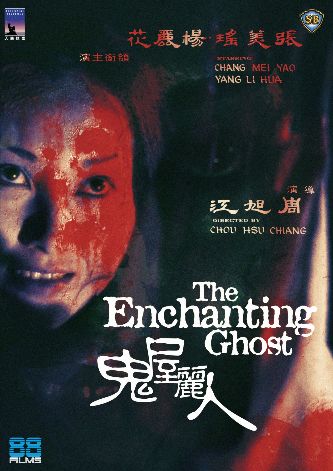 The Enchanting Ghost (DVD)