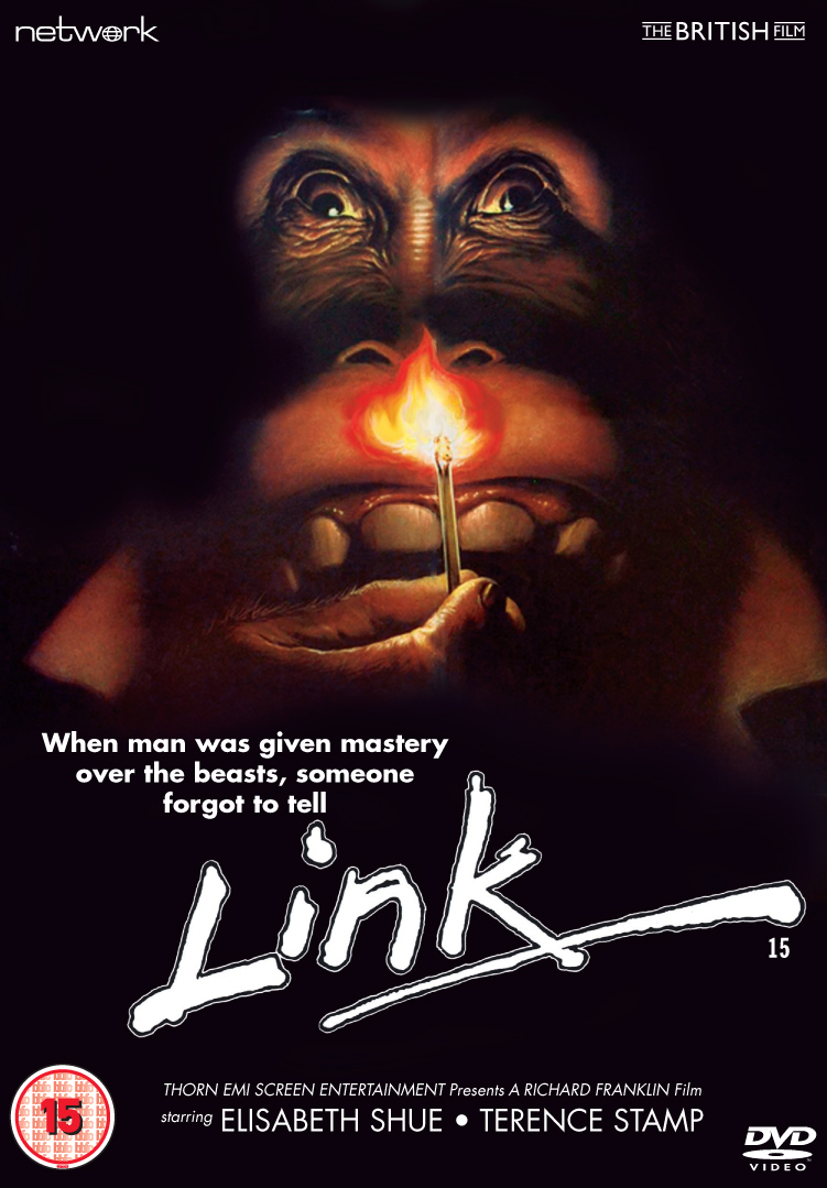 Link (DVD)