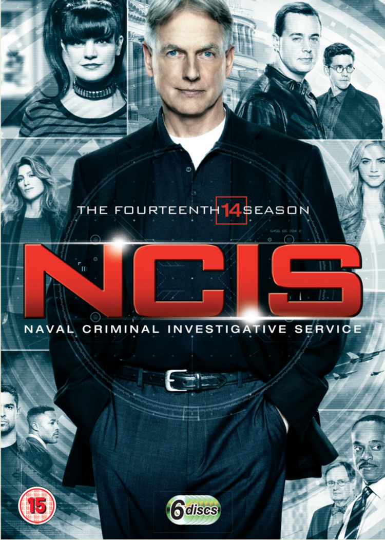 NCIS: The Fourteenth Season (DVD)