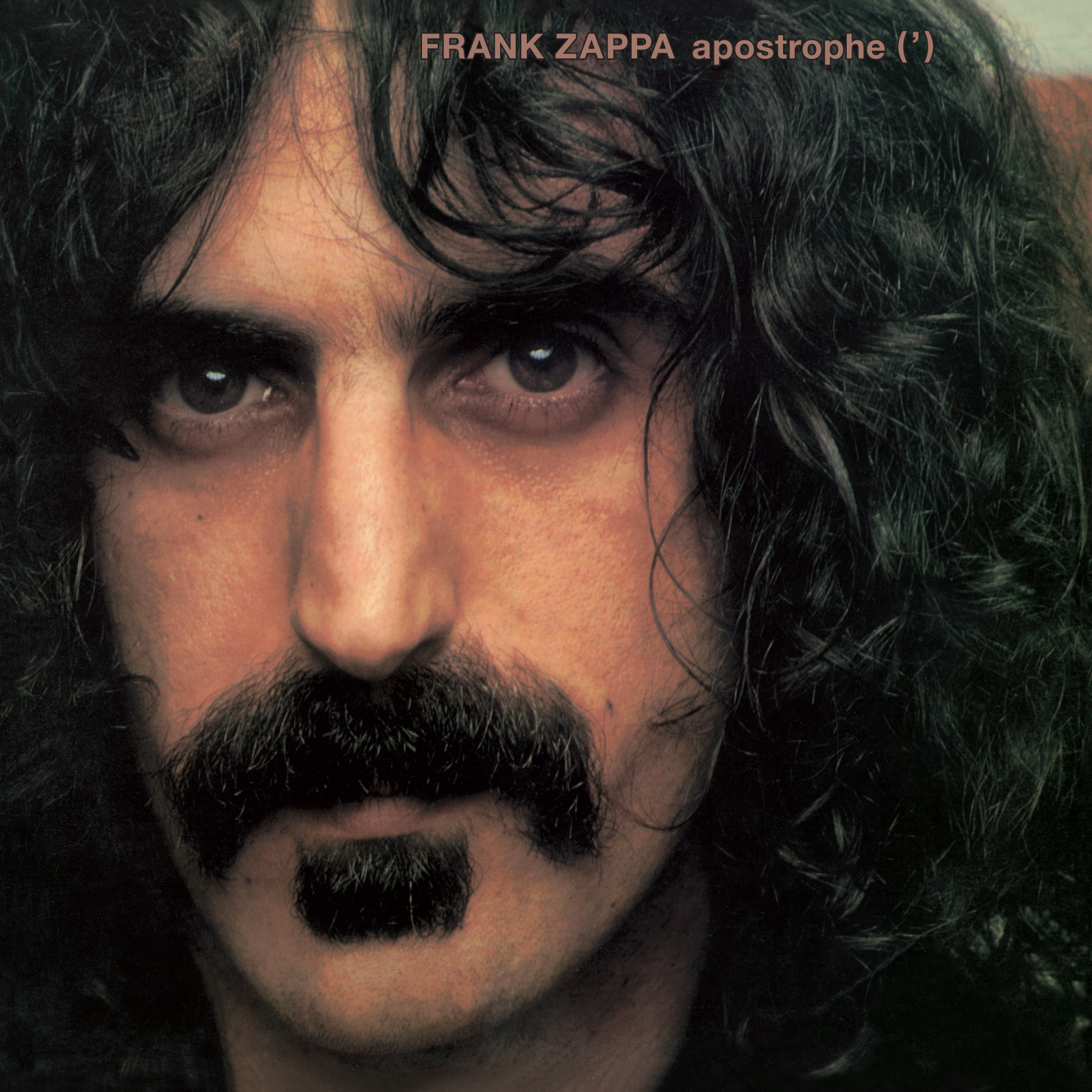 Frank Zappa Apostrophe (') (Vinyl) 12" Album (UK IMPORT) - 第 1/1 張圖片