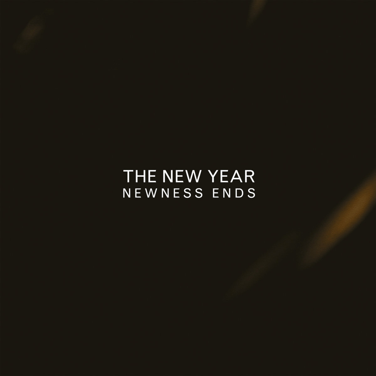 The New Year Newness Ends (Виниловый альбом) 12 (ИМПОРТ из Великобритании)