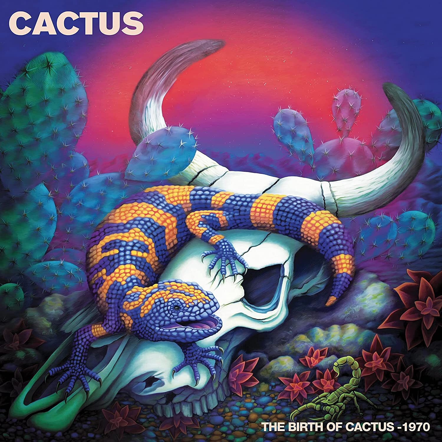 Cactus The Birth of Cactus - 1970 (Vinyl LP) 12" Album Coloured Vinyl