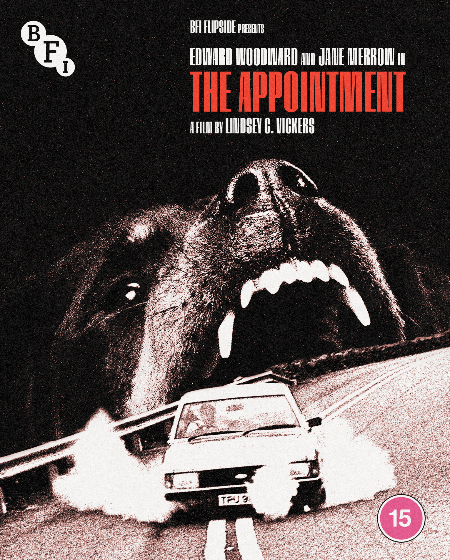 The Appointment (Blu-ray)