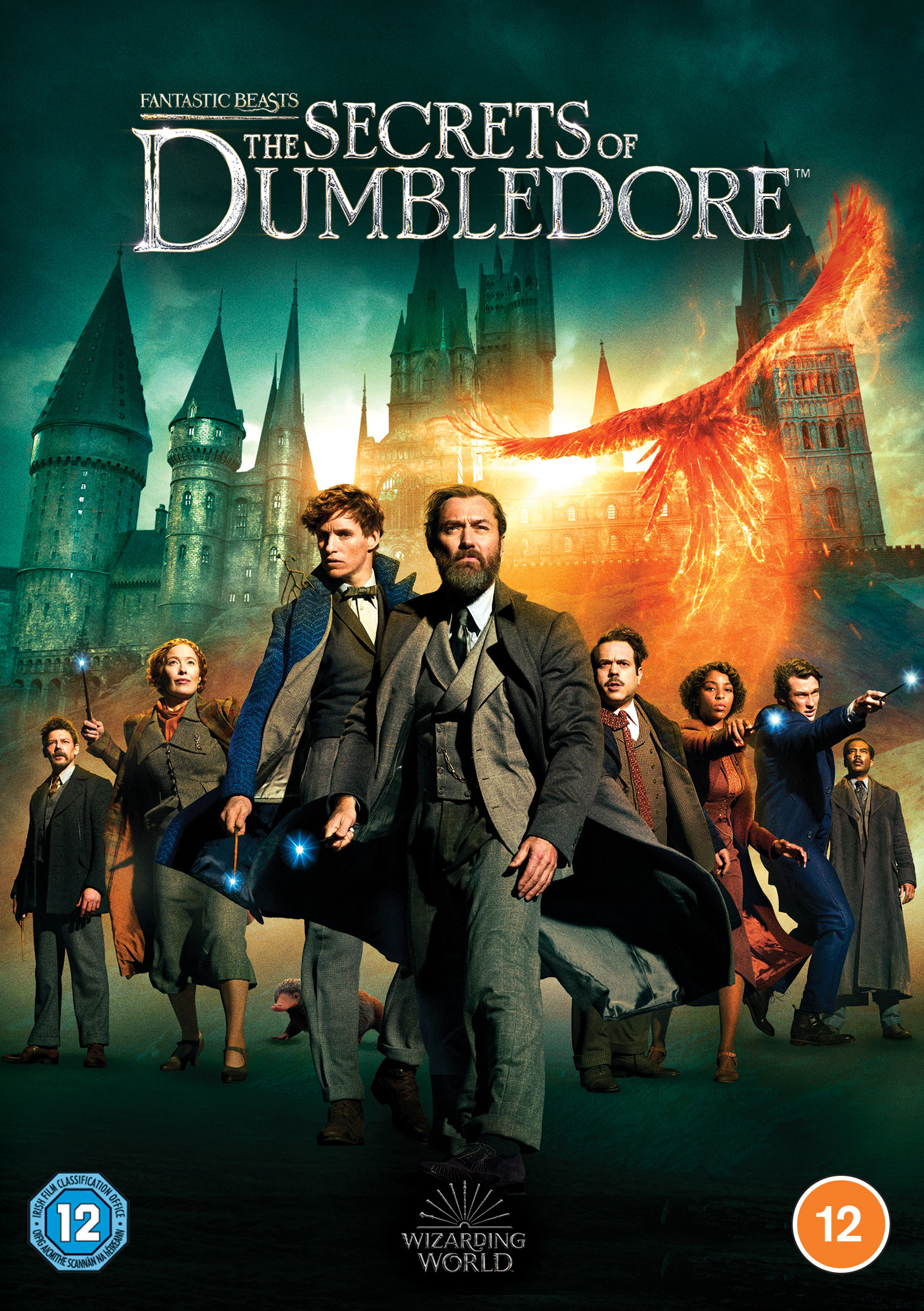 Fantastic Beasts: Secrets of Dumbledore (2021) (DVD) Alison Sudol Callum Turner
