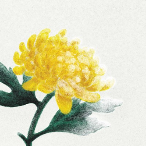 12 альбомов различных исполнителей Spring Snow (винил) (ИМПОРТ из Великобритании)