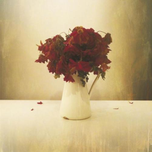 The Lion & the Wolf The Cardiac Hotel (винил) 12 альбом (ИМПОРТИРОВАН из Великобритании)