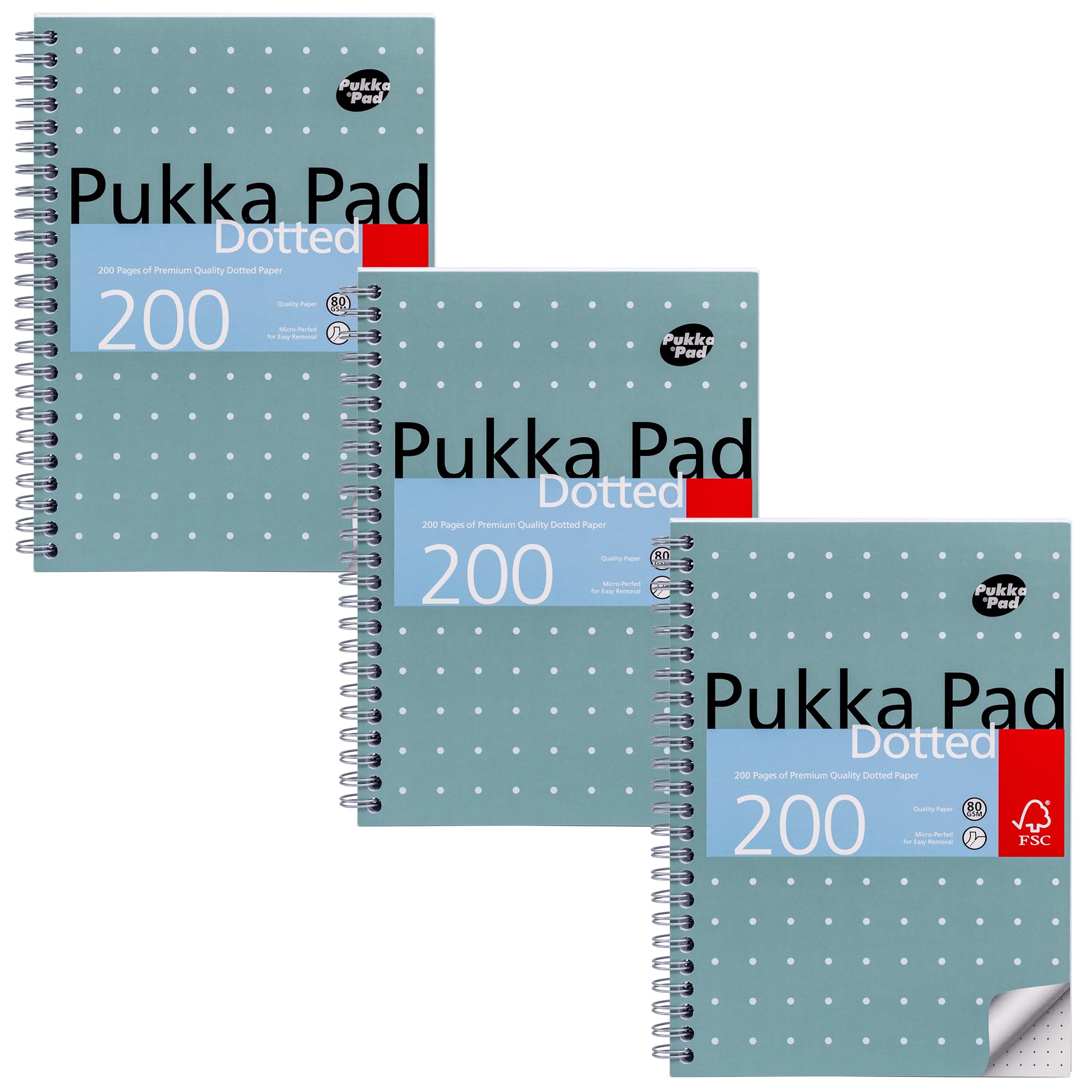 Pukka Pad, A5 Dotted Metallic Jotta Book for Graphing, Art, Bullet Journaling –