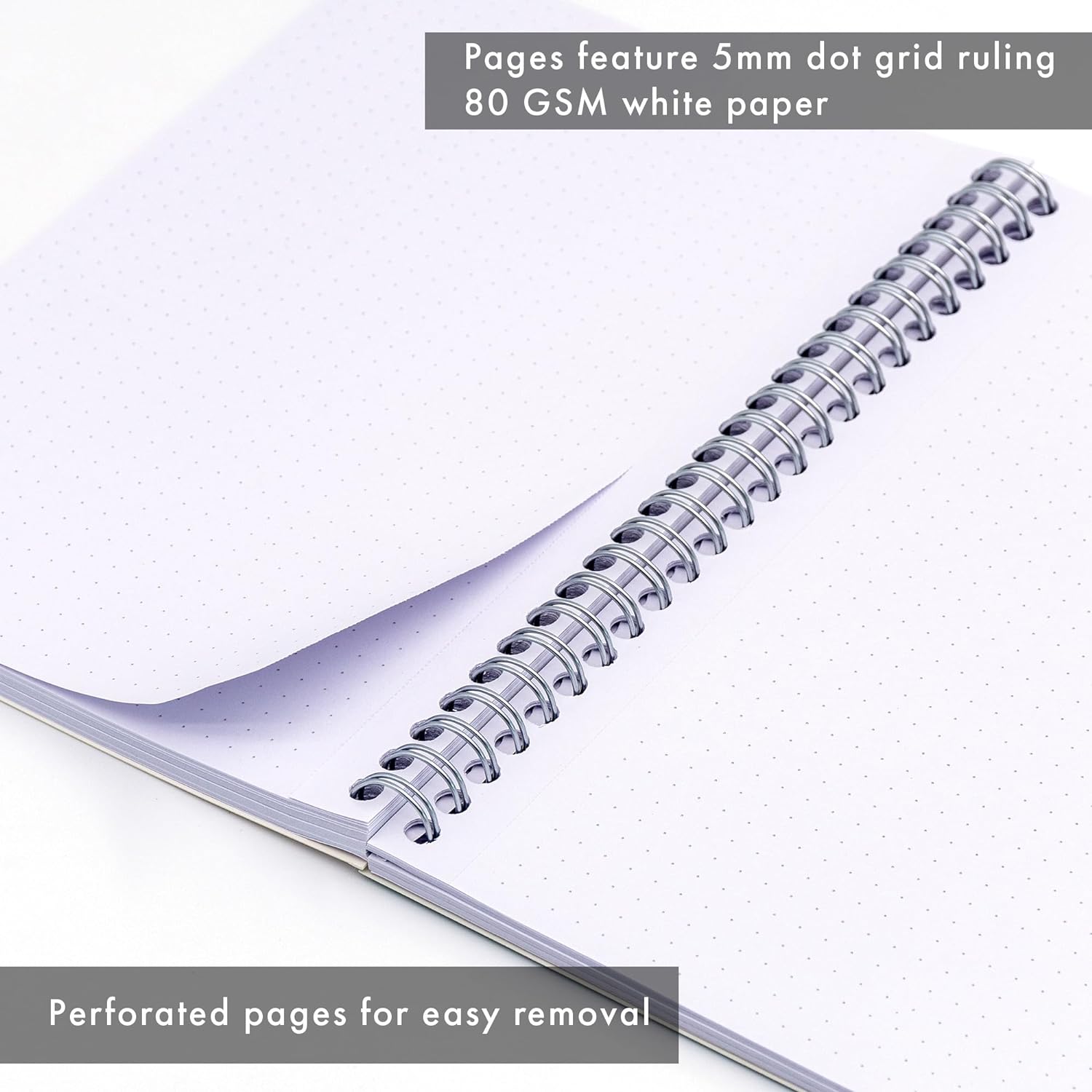 Pukka Pad, A5 Dotted Metallic Jotta Book for Graphing, Art, Bullet Journaling – - Foto 4 di 9