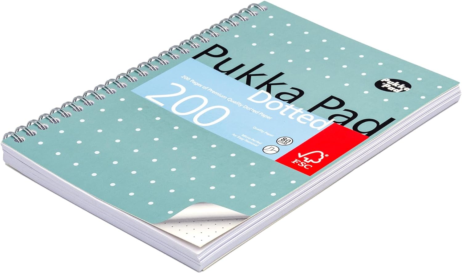 Pukka Pad, A5 Dotted Metallic Jotta Book for Graphing, Art, Bullet Journaling – - Foto 3 di 9