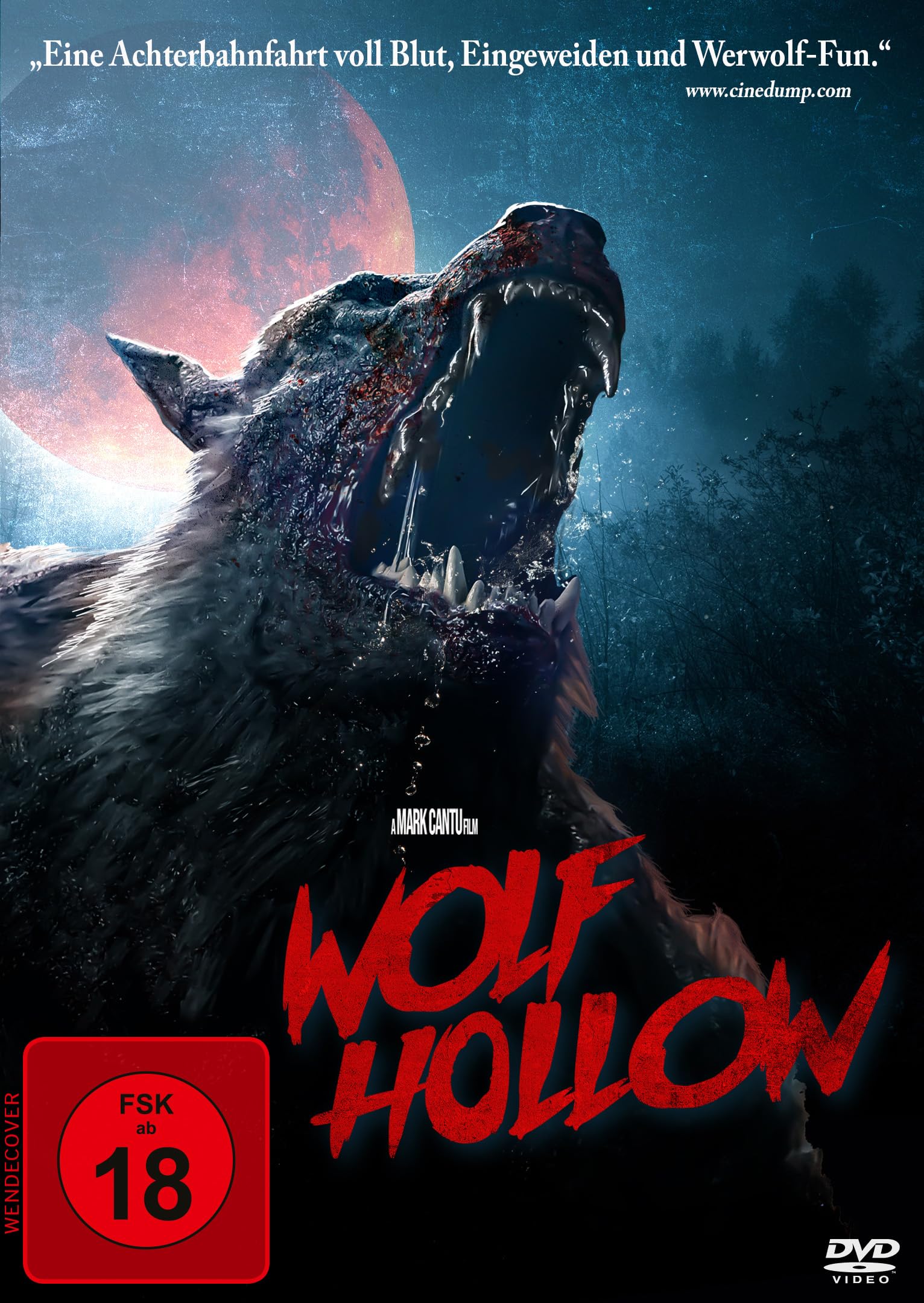 Wolf Hollow (DVD)