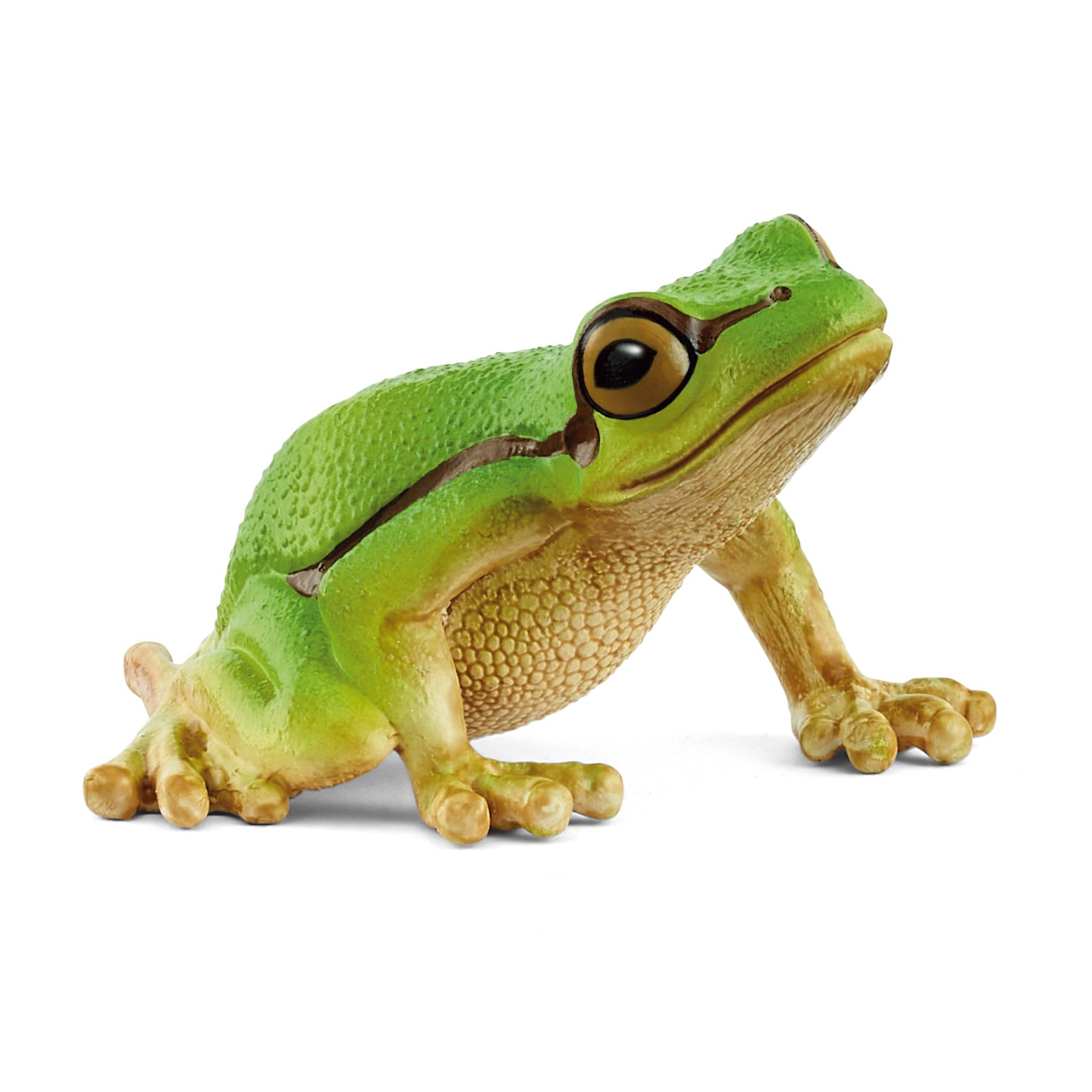 Photos - Action Figures / Transformers Schleich 14882 European Tree Frog from 3 years WILD LIFE - Figurine 4 x 5 x 3 cm 14882