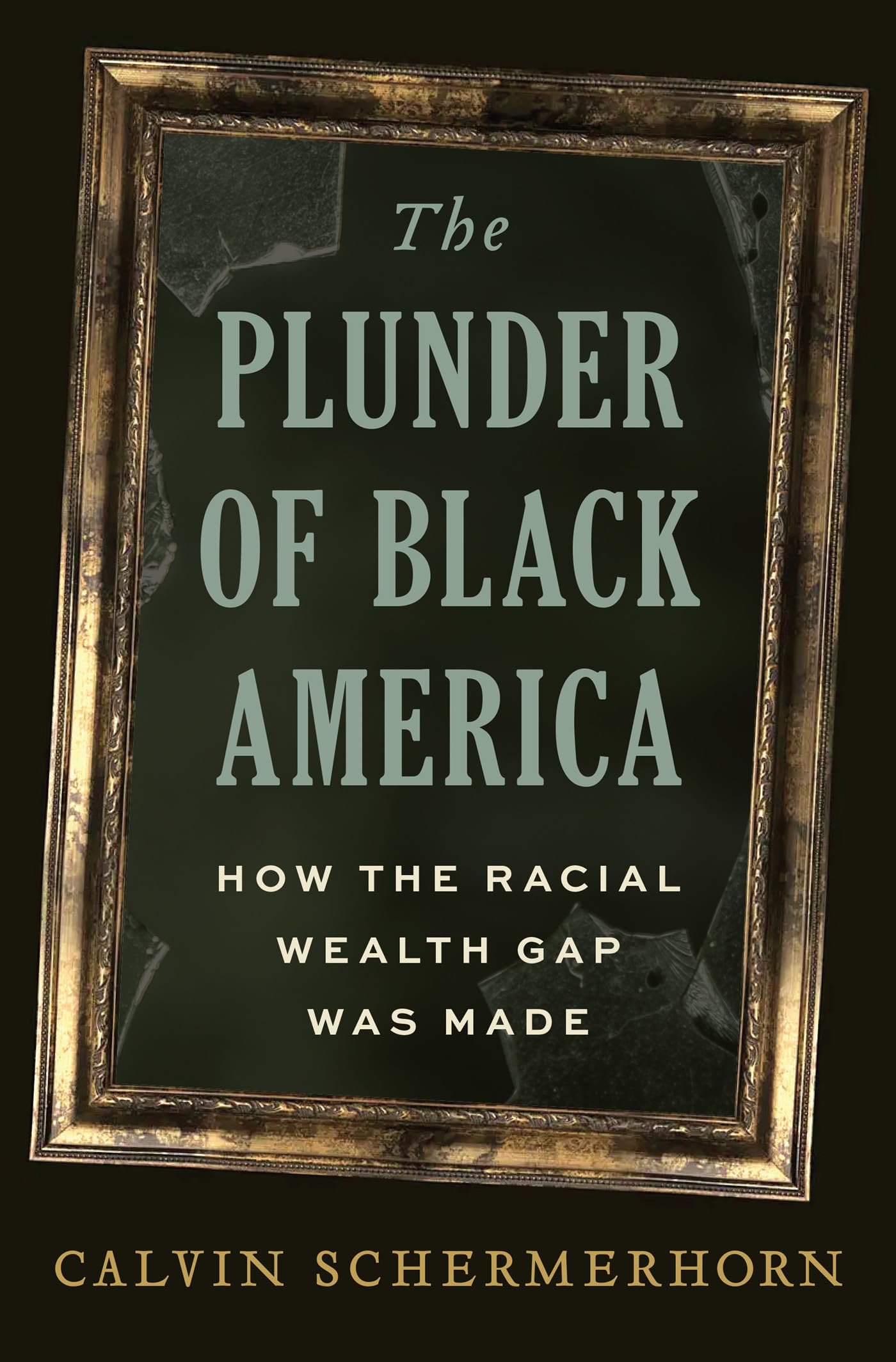 Schermerhorn Calvin Plunder Of Black America HBOOK NUOVO
