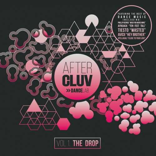 Различные исполнители после выхода альбома Dancelab the Drop (CD) (ИМПОРТ ИЗ Великобритании)