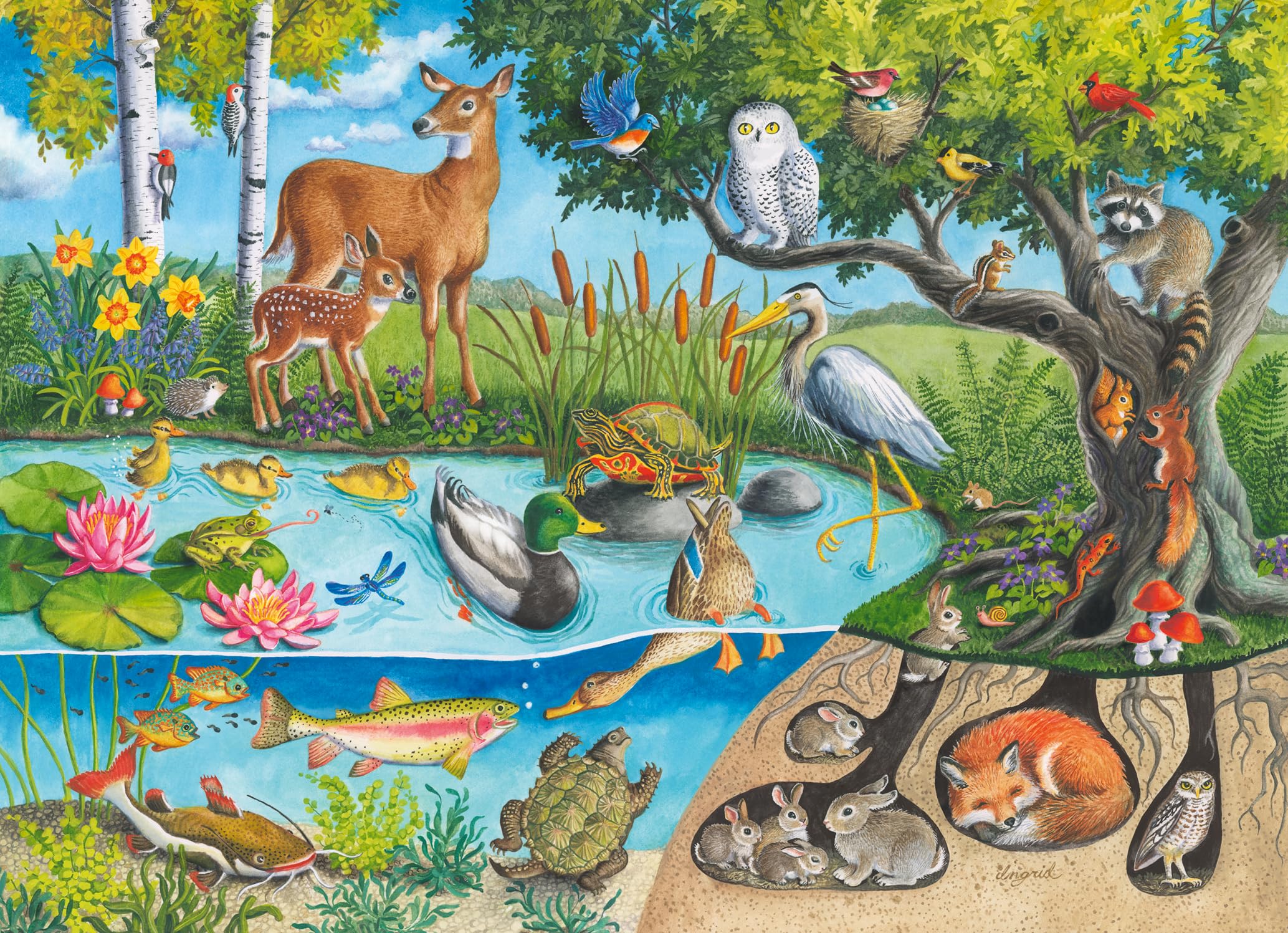 Photos - Jigsaw Puzzle / Mosaic Ravensburger Animals Above & Below - Educational Toys for Kids - 60 Piece Jigsaw Puzzle - 4 Years + 12004100 