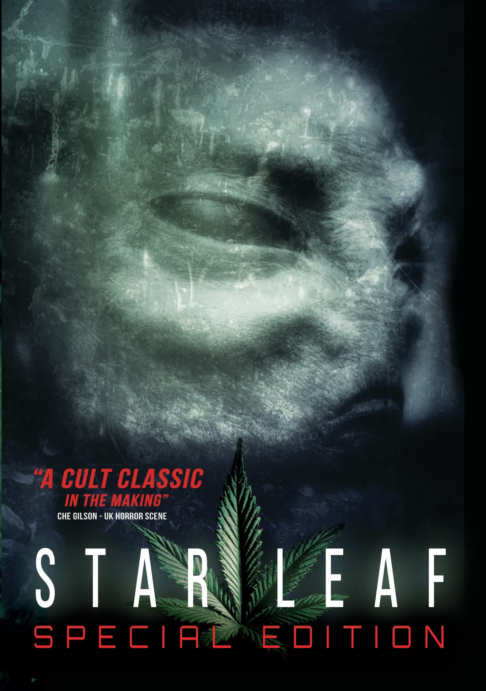 Star Leaf (DVD)