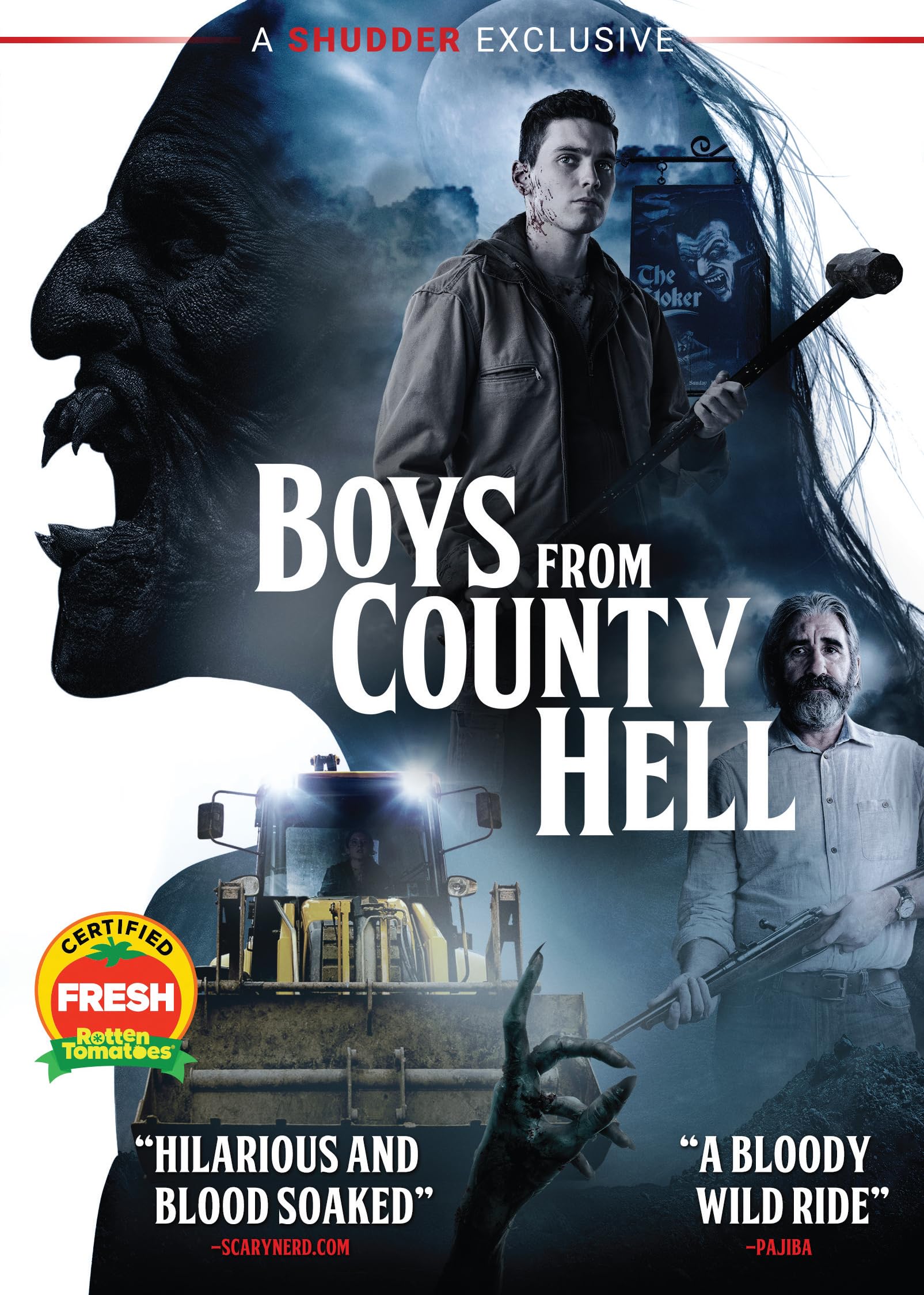 Boys From County Hell (NTSC Subtitled Widescreen)